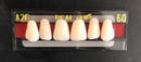 Dentes Resina Avulsos Placa. Postiços, Provisórios Superior(34l inferior 69 real plus)
