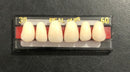 Dentes Resina Avulsos Placa. Postiços, Provisórios Superior(34l inferior 69 real plus)