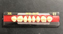 Dentes Resina Avulsos Placa. Postiços, Provisórios Superior(34l inferior 69 real plus)