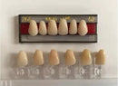 Dentes Resina Avulsos Placa. Postiços, Provisórios Superior(34l inferior 69 real plus)
