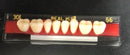 Dentes Resina Avulsos Placa. Postiços, Provisórios Superior(34l inferior 69 real plus)