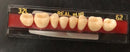 Dentes Resina Avulsos Placa. Postiços, Provisórios Superior(34l inferior 69 real plus)